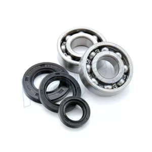 Crank Bearing & Seal Kit