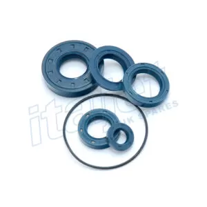 Oil Seal Set