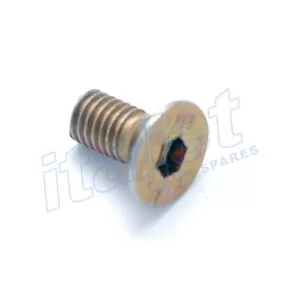 Rear Wheel Bearing Retainer Screw