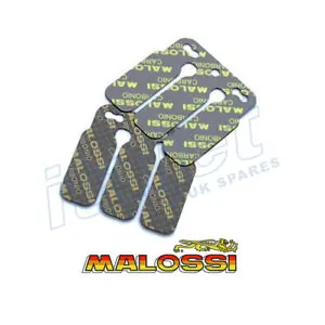 Reed Petals Malossi 2 x 0.30mm